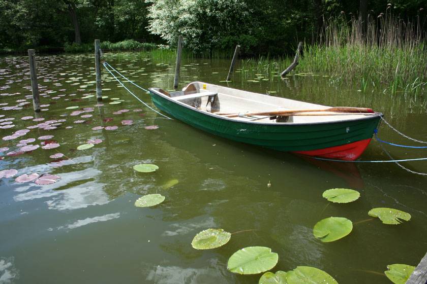 Лодки зеленого цвета. Салатовая лодка. Зелёные цвета для лодок. Зелёная лодка 340. Покраска лодки салатовый.