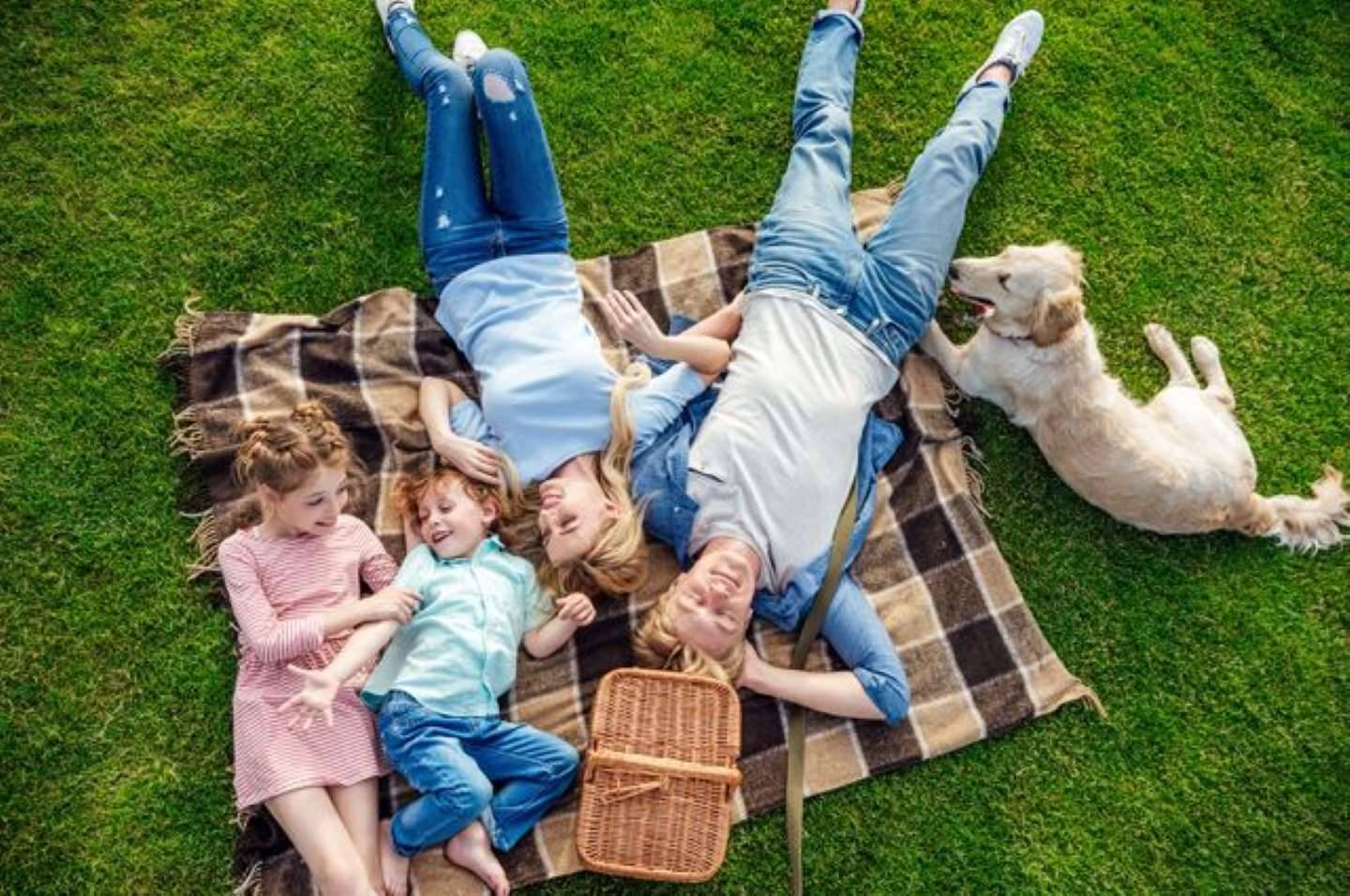 Семья пикник на траве